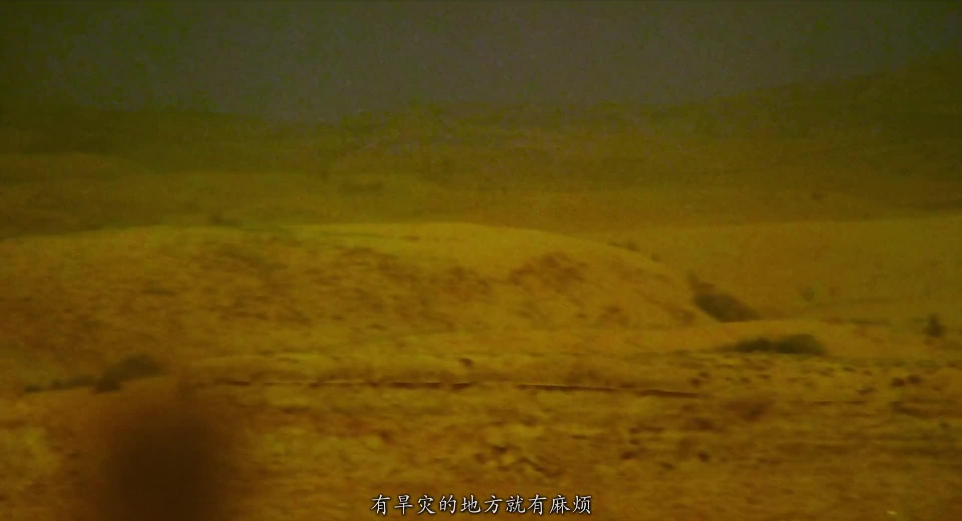 东邪西毒：终极版 東邪西毒終極版