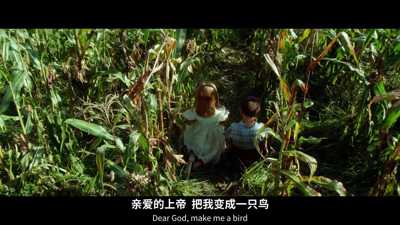 阿甘正传 Forrest Gump