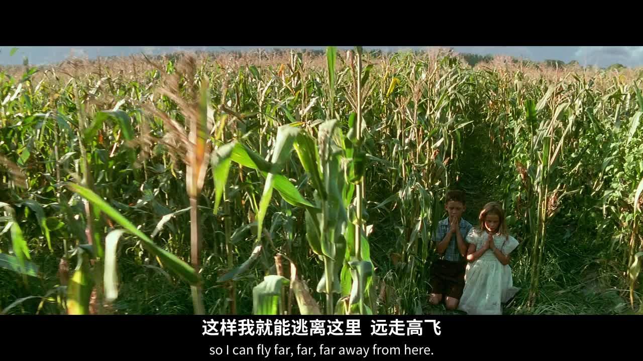 阿甘正传 Forrest Gump