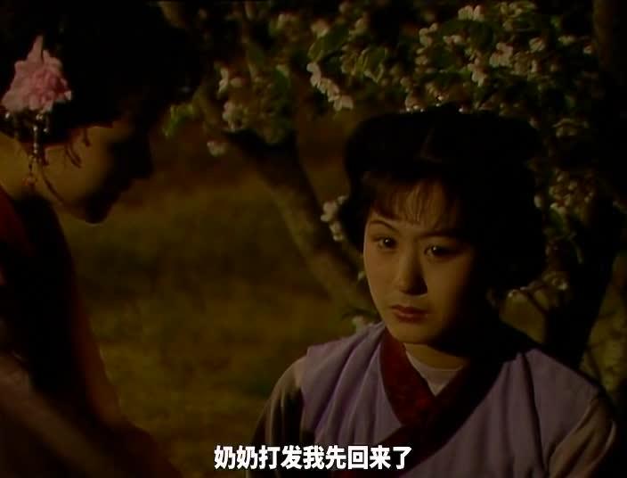 红楼梦