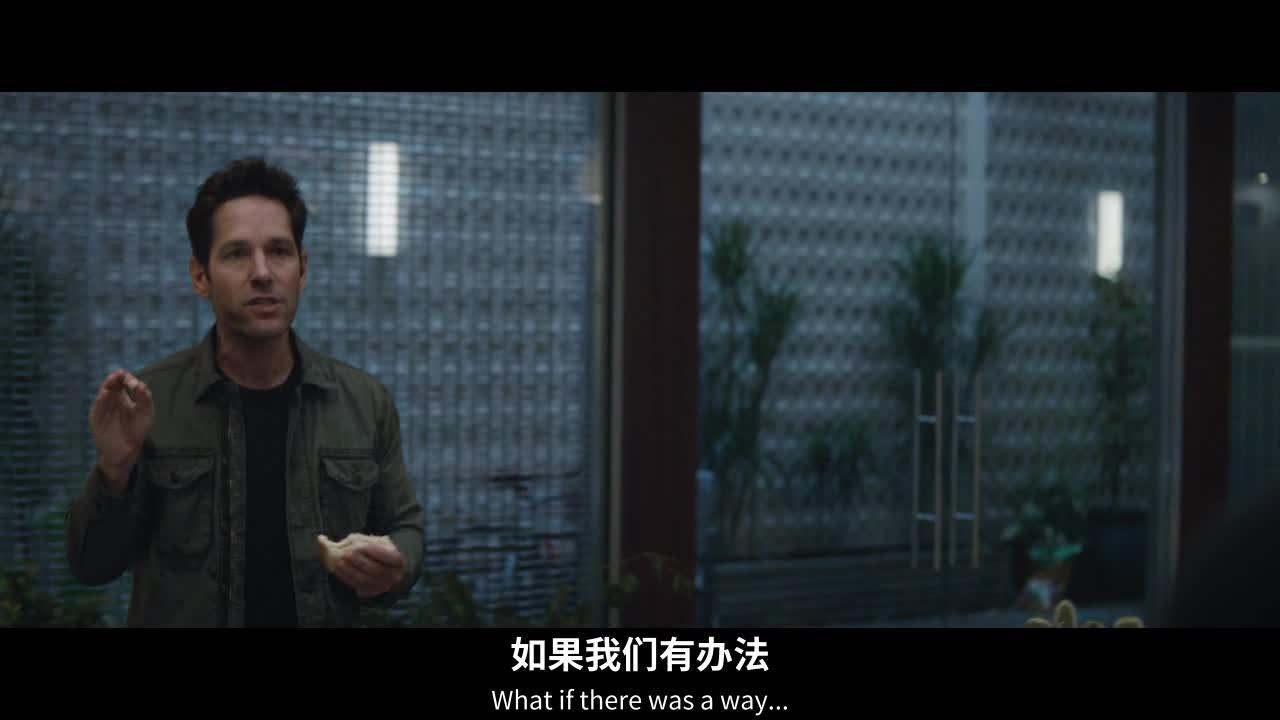 复仇者联盟4：终局之战 Avengers: Endgame