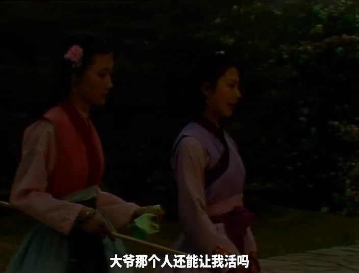 红楼梦