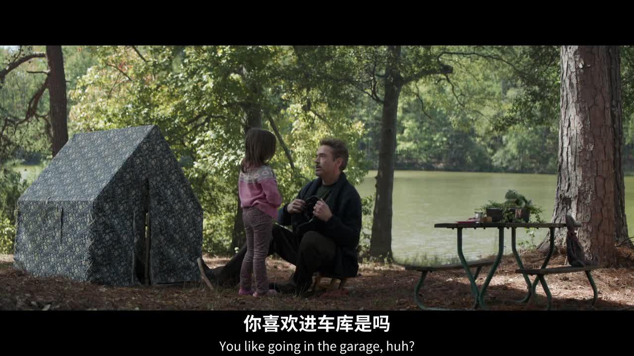 复仇者联盟4：终局之战 Avengers: Endgame