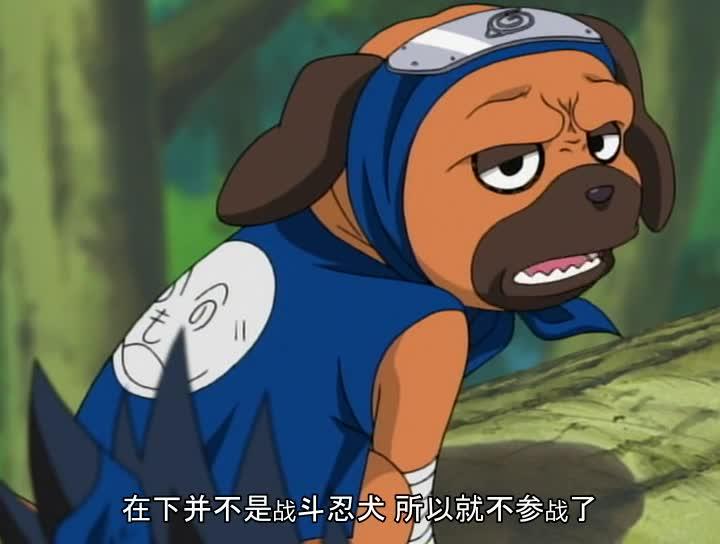 火影忍者 NARUTO -ナルト-