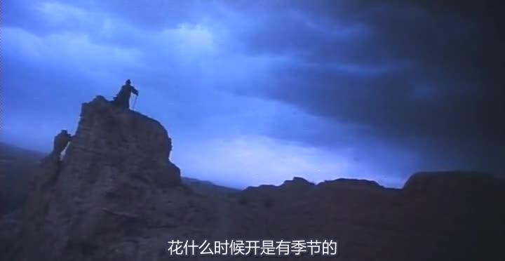 东邪西毒 東邪西毒