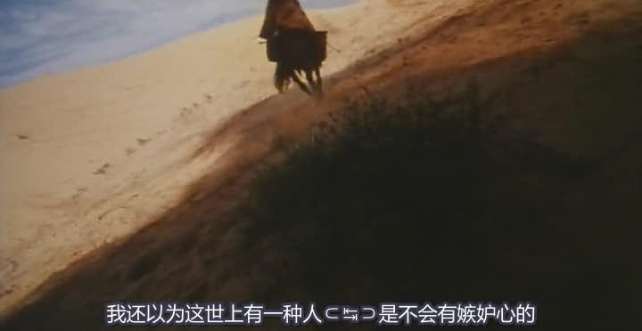 东邪西毒 東邪西毒