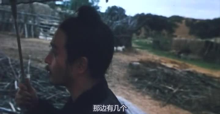 东邪西毒 東邪西毒