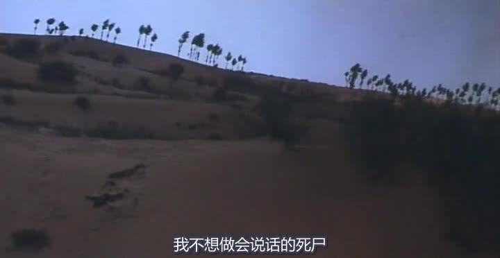 东邪西毒 東邪西毒