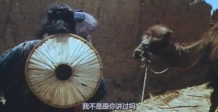 东邪西毒 東邪西毒