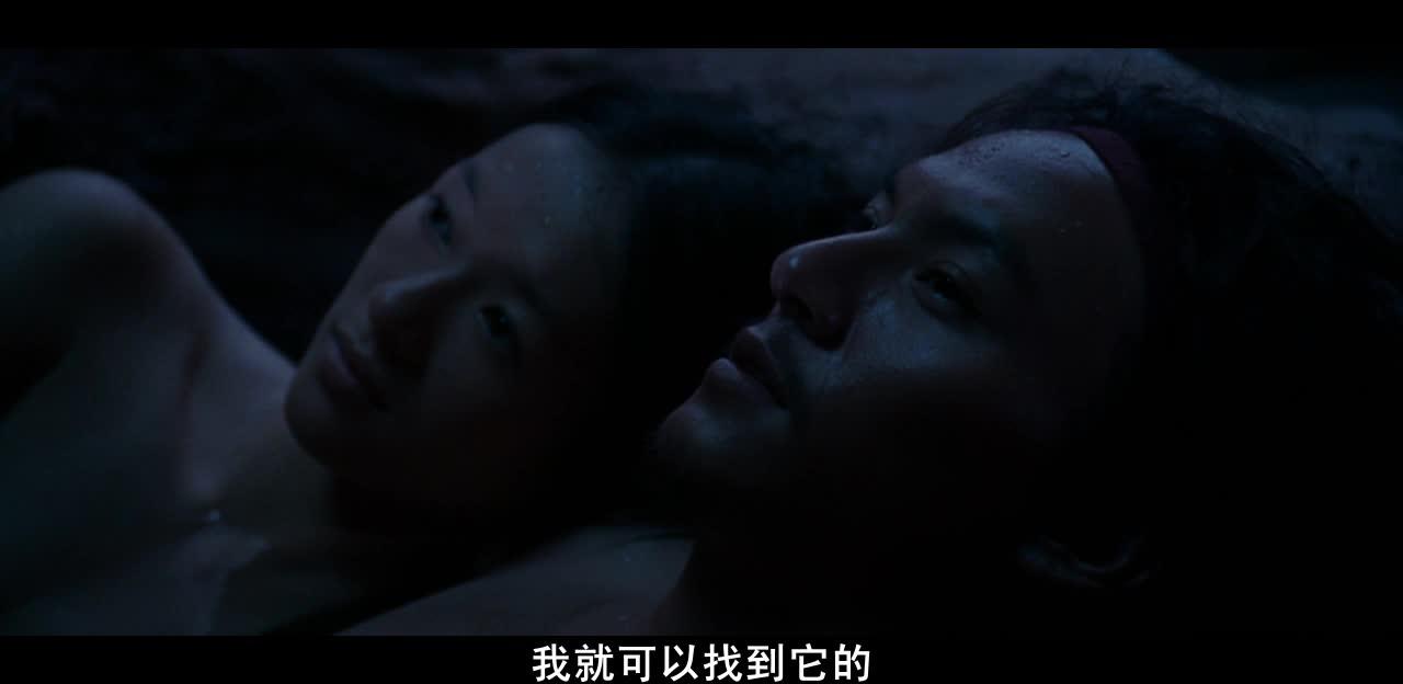 卧虎藏龙 臥虎藏龍
