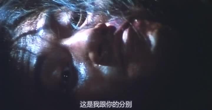 东邪西毒 東邪西毒