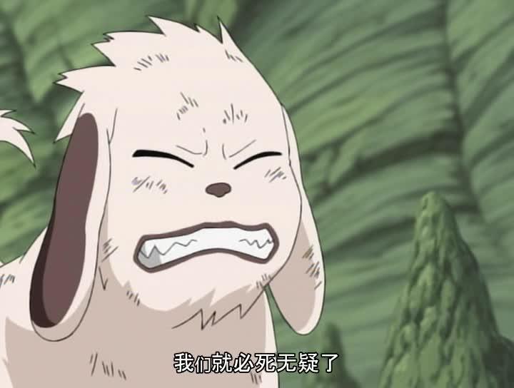 火影忍者 NARUTO -ナルト-