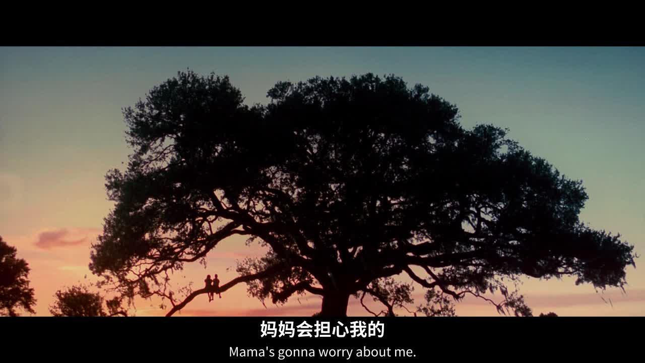阿甘正传 Forrest Gump