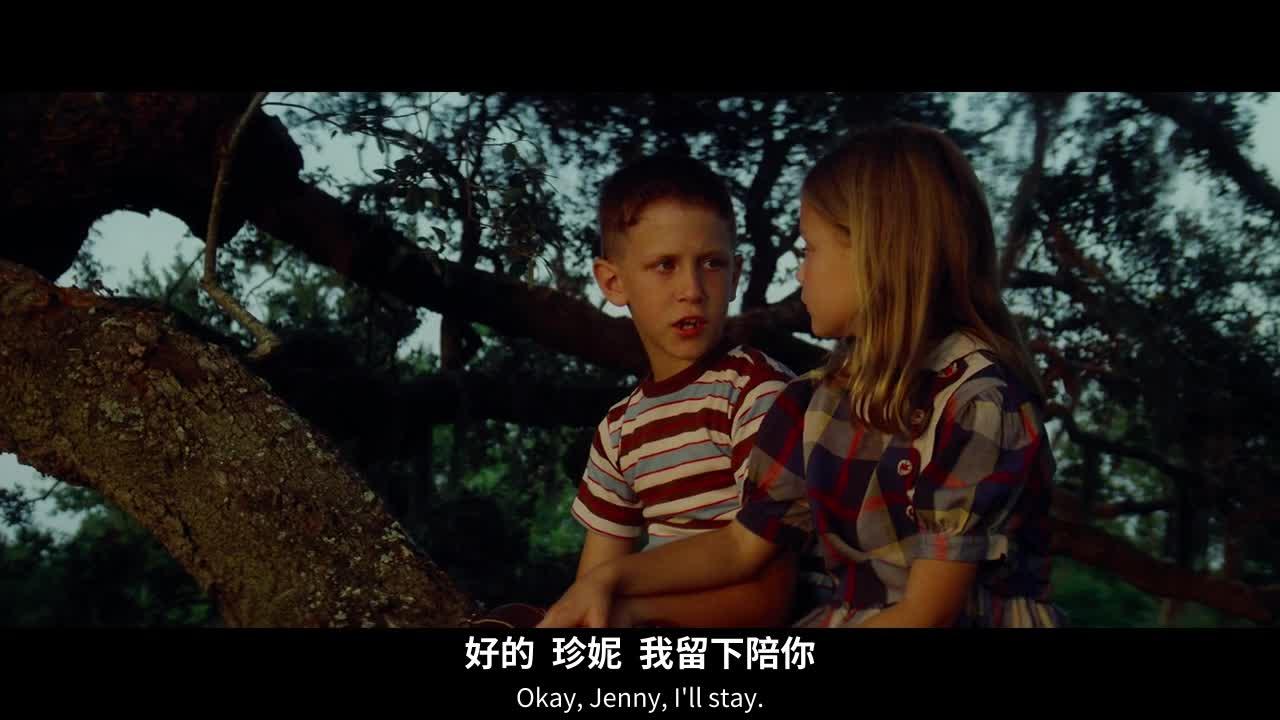 阿甘正传 Forrest Gump