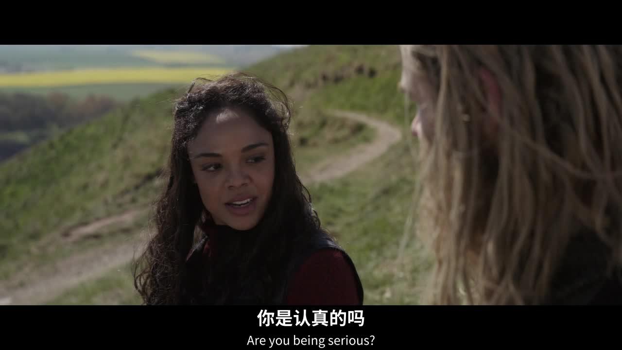 复仇者联盟4：终局之战 Avengers: Endgame